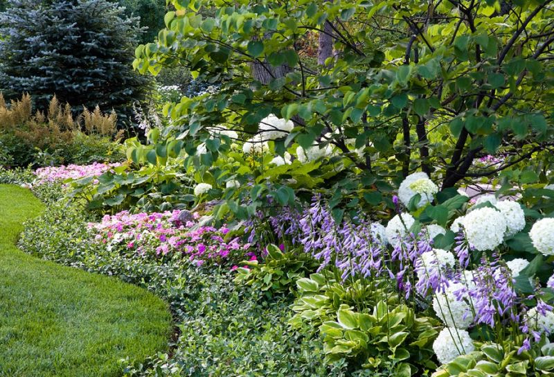 Planting