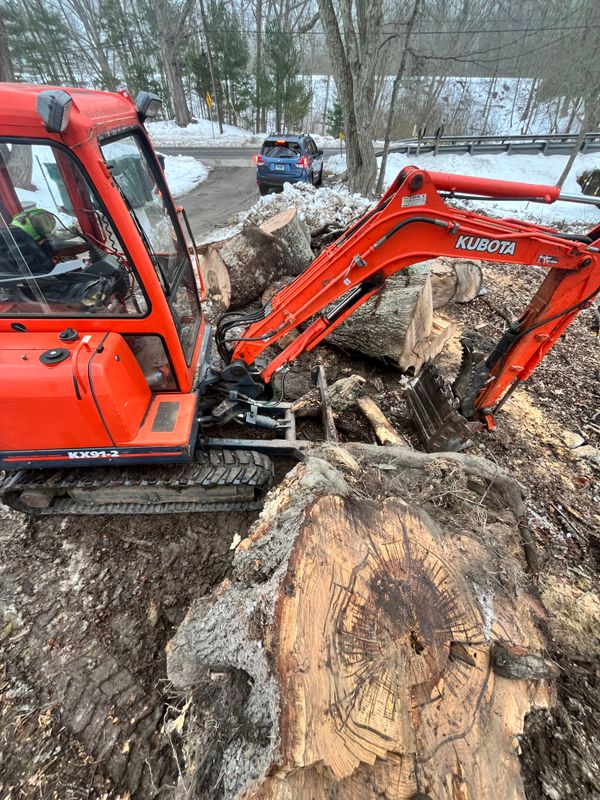 Brush & Tree Removal