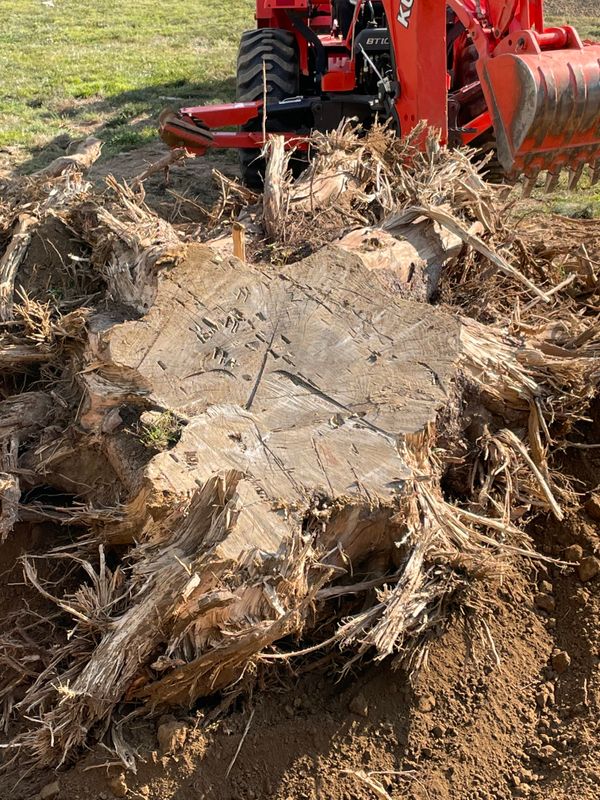 Stump Removal