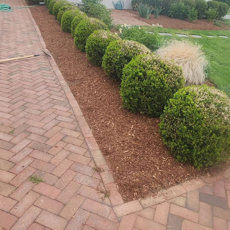 Mulching