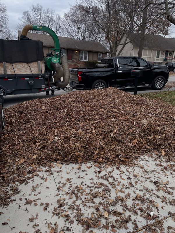 Leaf Removal