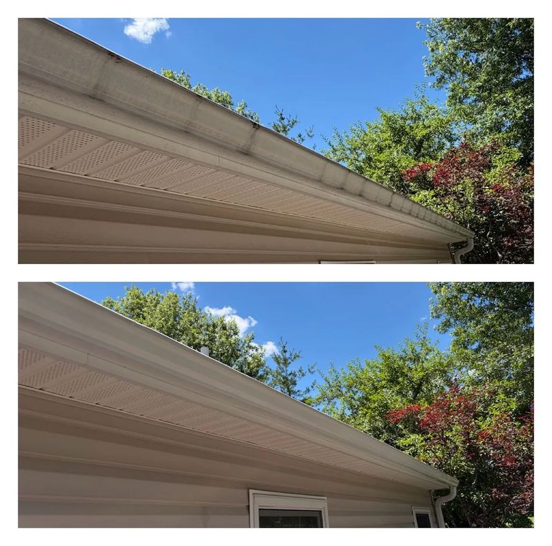 Gutter Cleaning