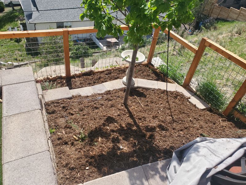Mulch Installation