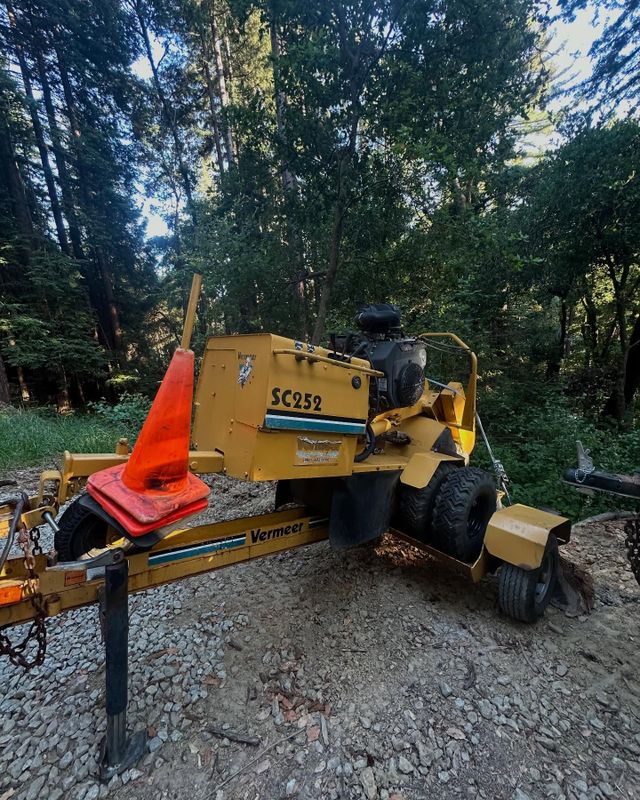 Tree Services