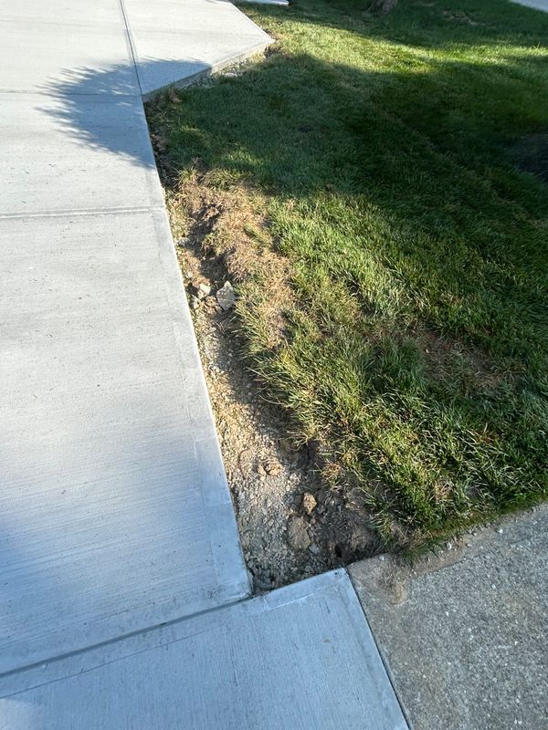 Sod and Grass Seed Installation