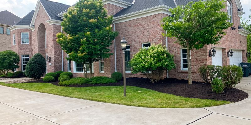 Mulch Installation