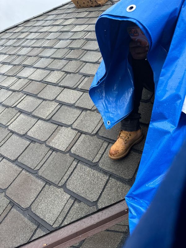 Roofing Repairs