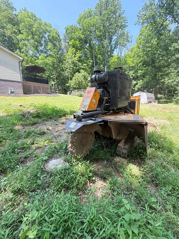 Stump Grinding