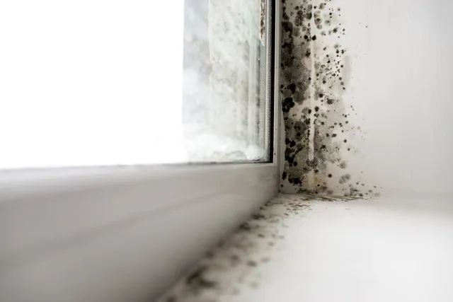 Radon & Mold Testing