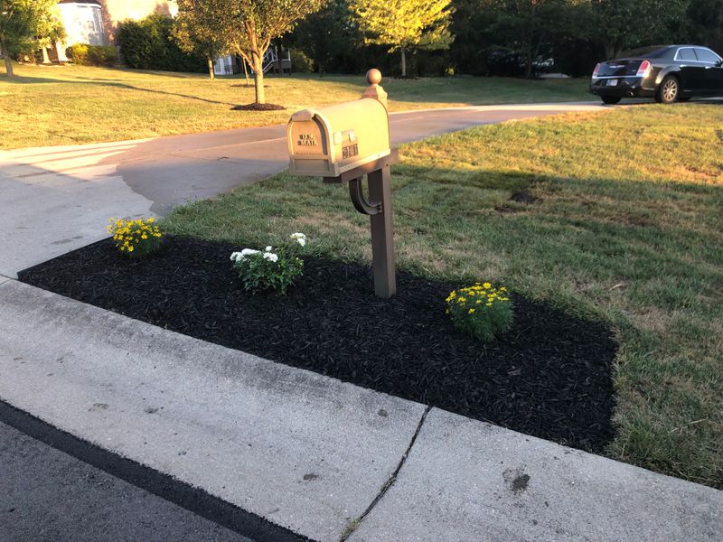 Flower Bed Design