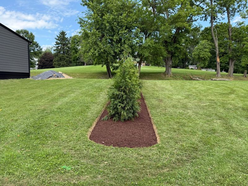 Mulch Bed Installation and Renovation