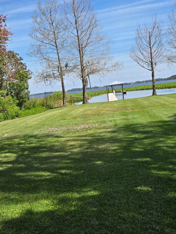 Lawn Care & Maintenance