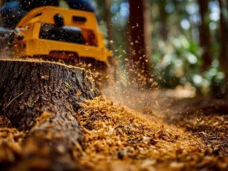 Stump Grinding