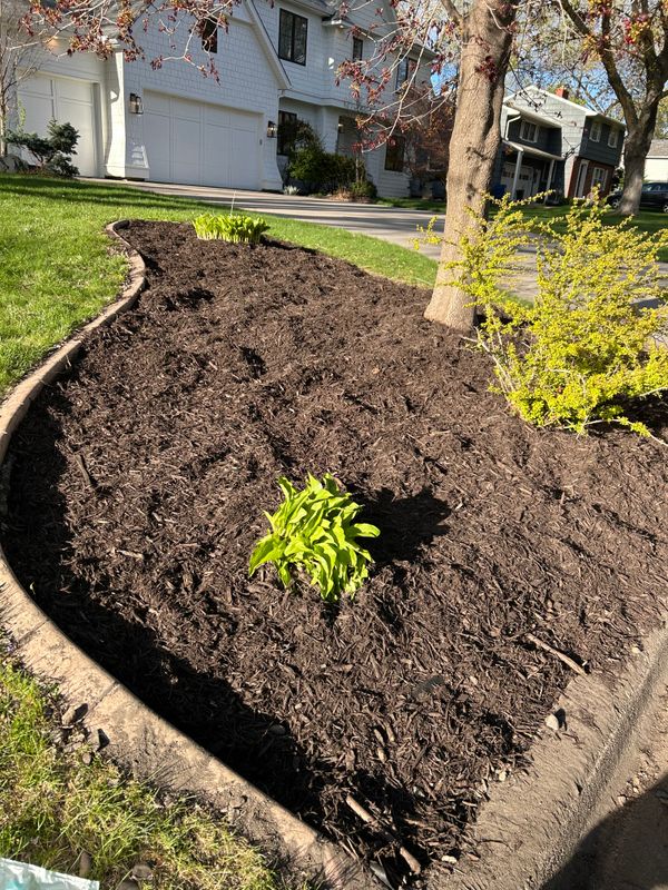 Flower Bed Gallery