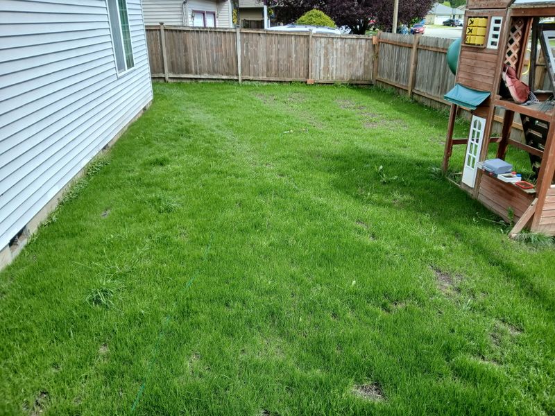 Re-seeding