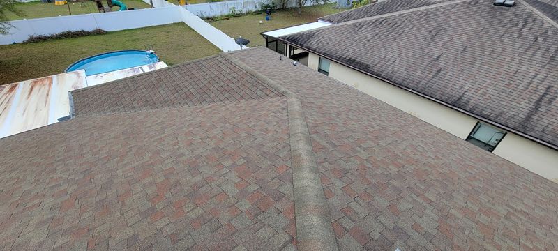 Transformative Soft Wash Shingle Roof Restoration in Valrico, FL