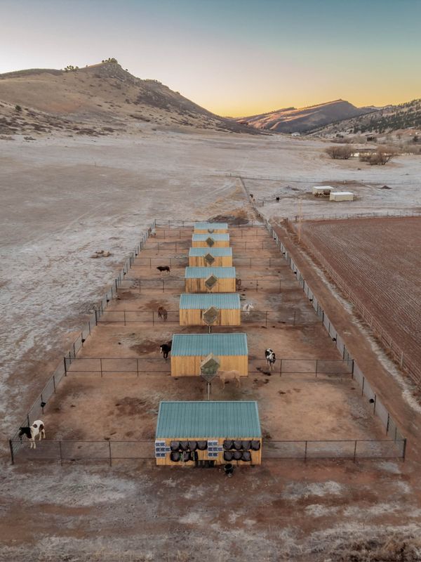 High Tensile & Pipe Arenas