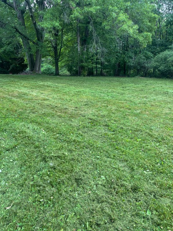 Mowing