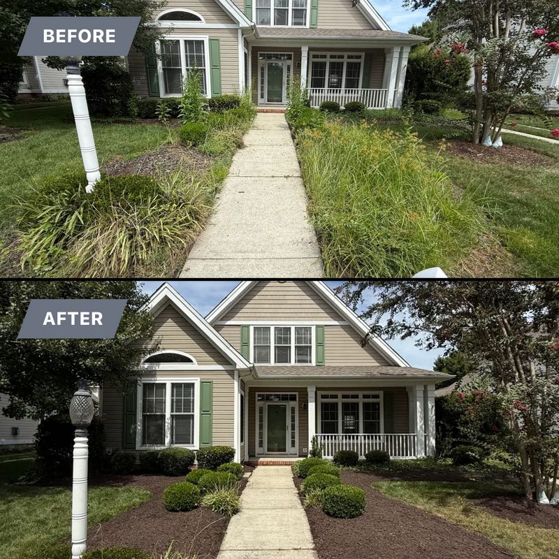 Before & After