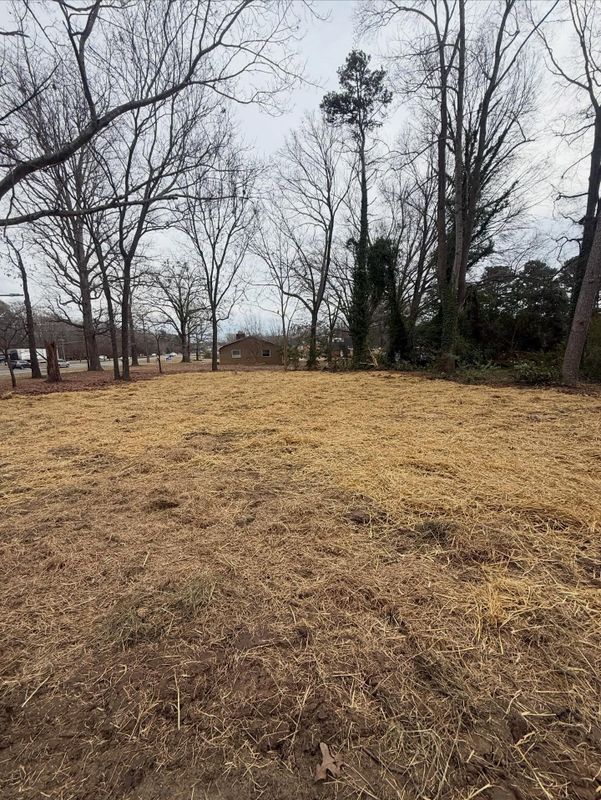 Land Clearing