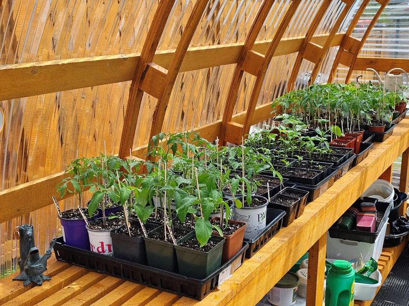 Greenhouses