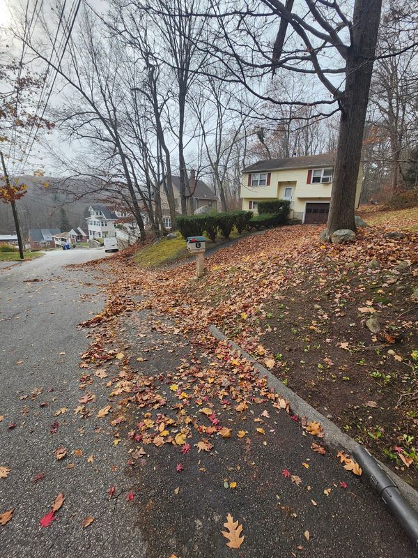 Fall Cleanups