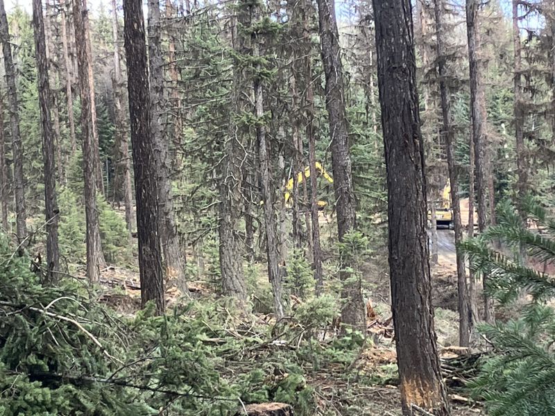 Logging