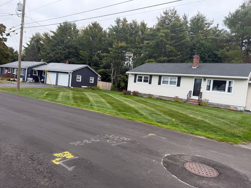 Lawn Maintenance