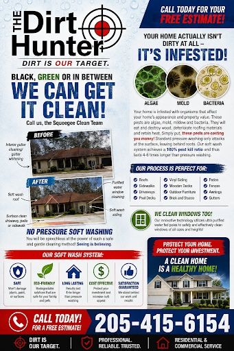 Soft Washing Services
