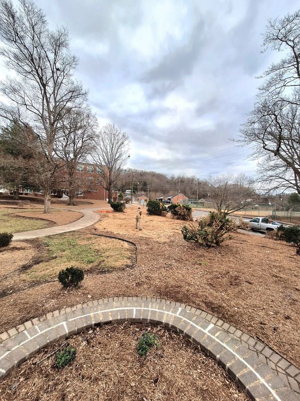 Tree Removal gallery