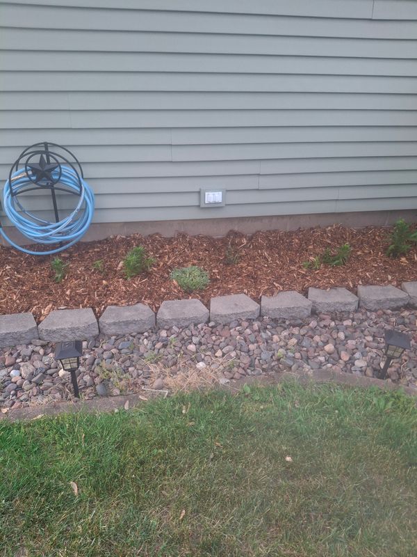 Landscape Design