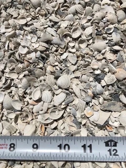 rocks