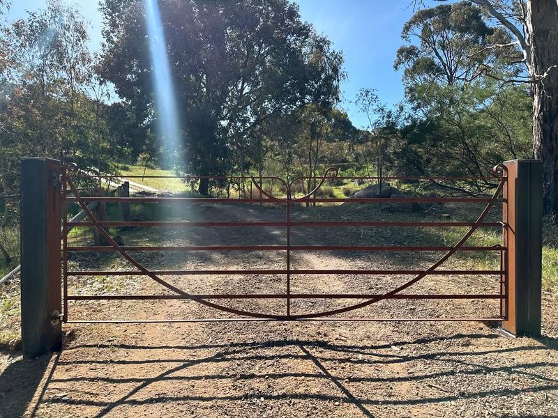 Ornamental Iron Guardrails