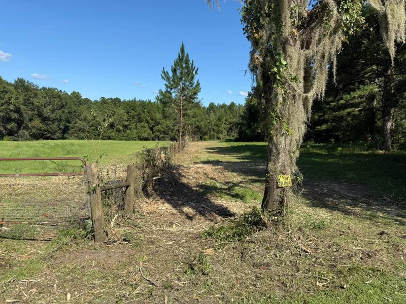 Land Clearing