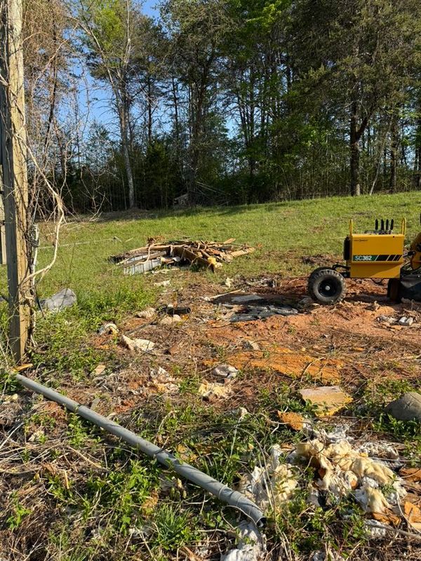 Tree Removal gallery