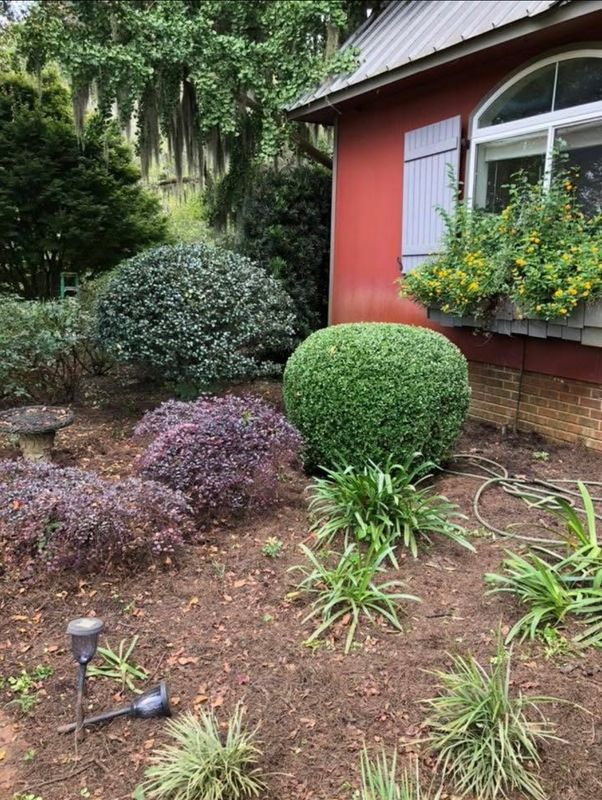 Shrub Care, Property Cleanup