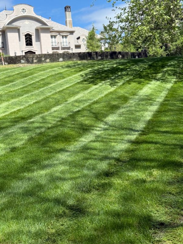 Lawn Maintenance