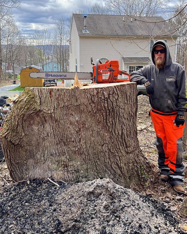 Tree Removal