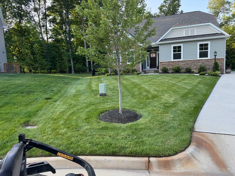 Mowing