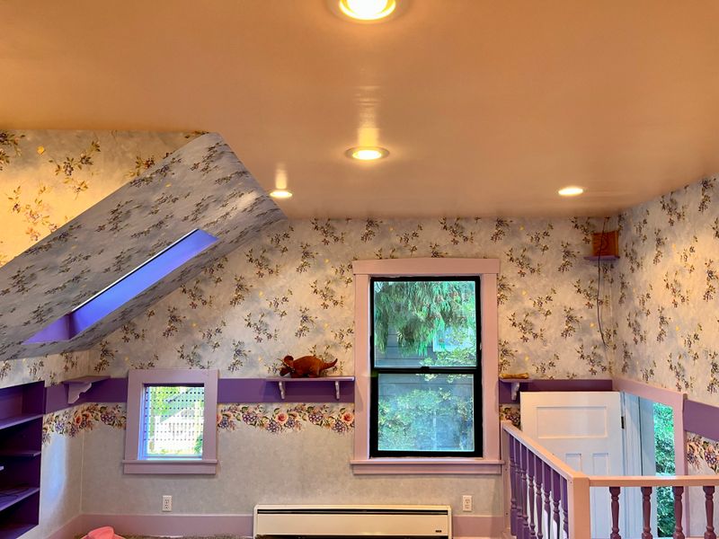 Wallpaper removal 