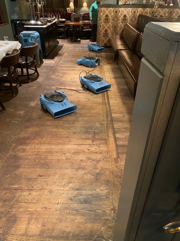 Upholstery Cleaning