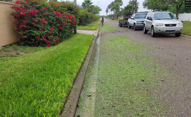 Landscaping & Hardscaping