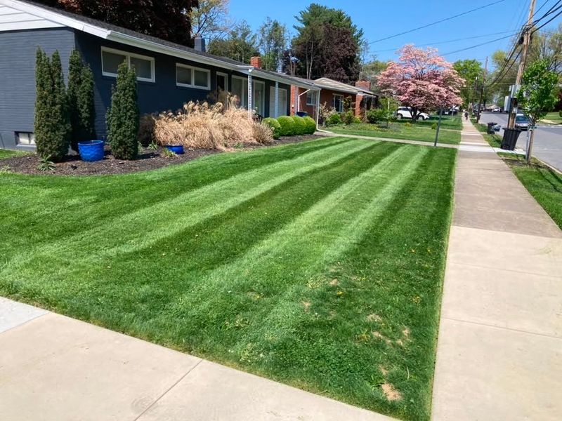 Lawn Maintenance