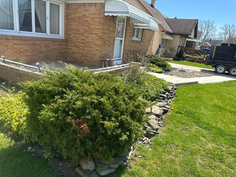 Shrub & Plant Installation Photos
