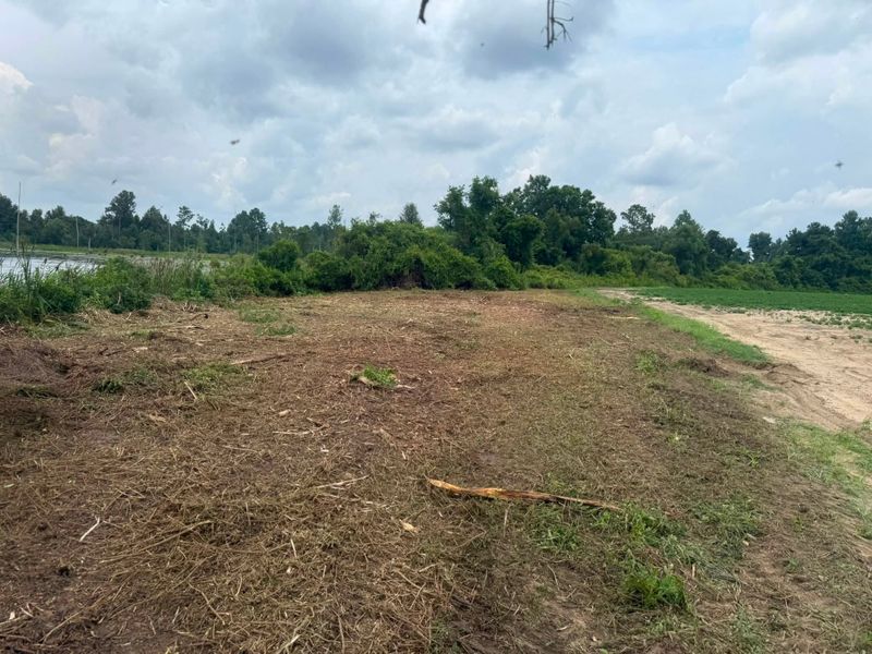 Land Clearing