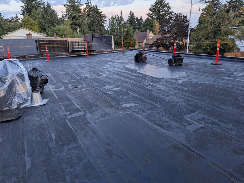 Single - Ply Roofs