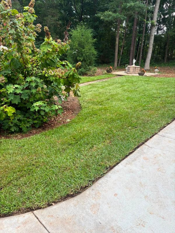 Landscape Design