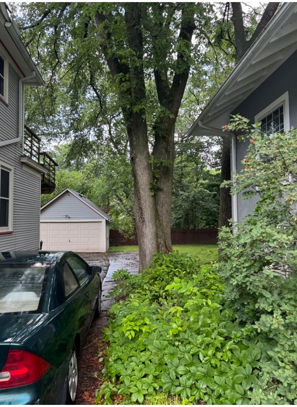 "Expert Tree Removal: Safety, Precision, and Affordability by Dittmer Tree Service"