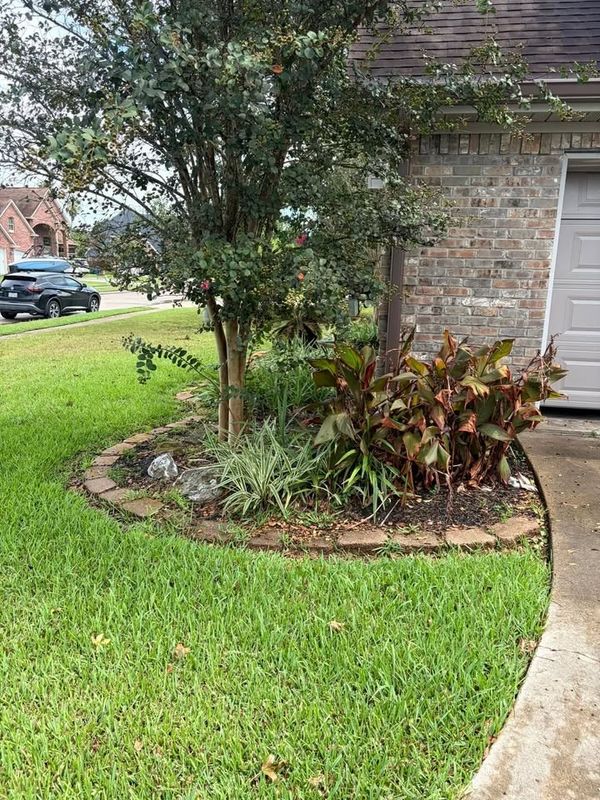 Lawn Maintenance