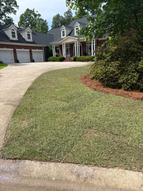 Lawn Maintenance